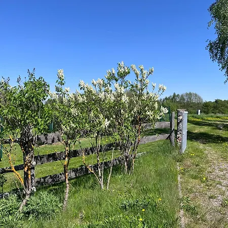 Goralski Domu Nad Jeziorem Dadaj *